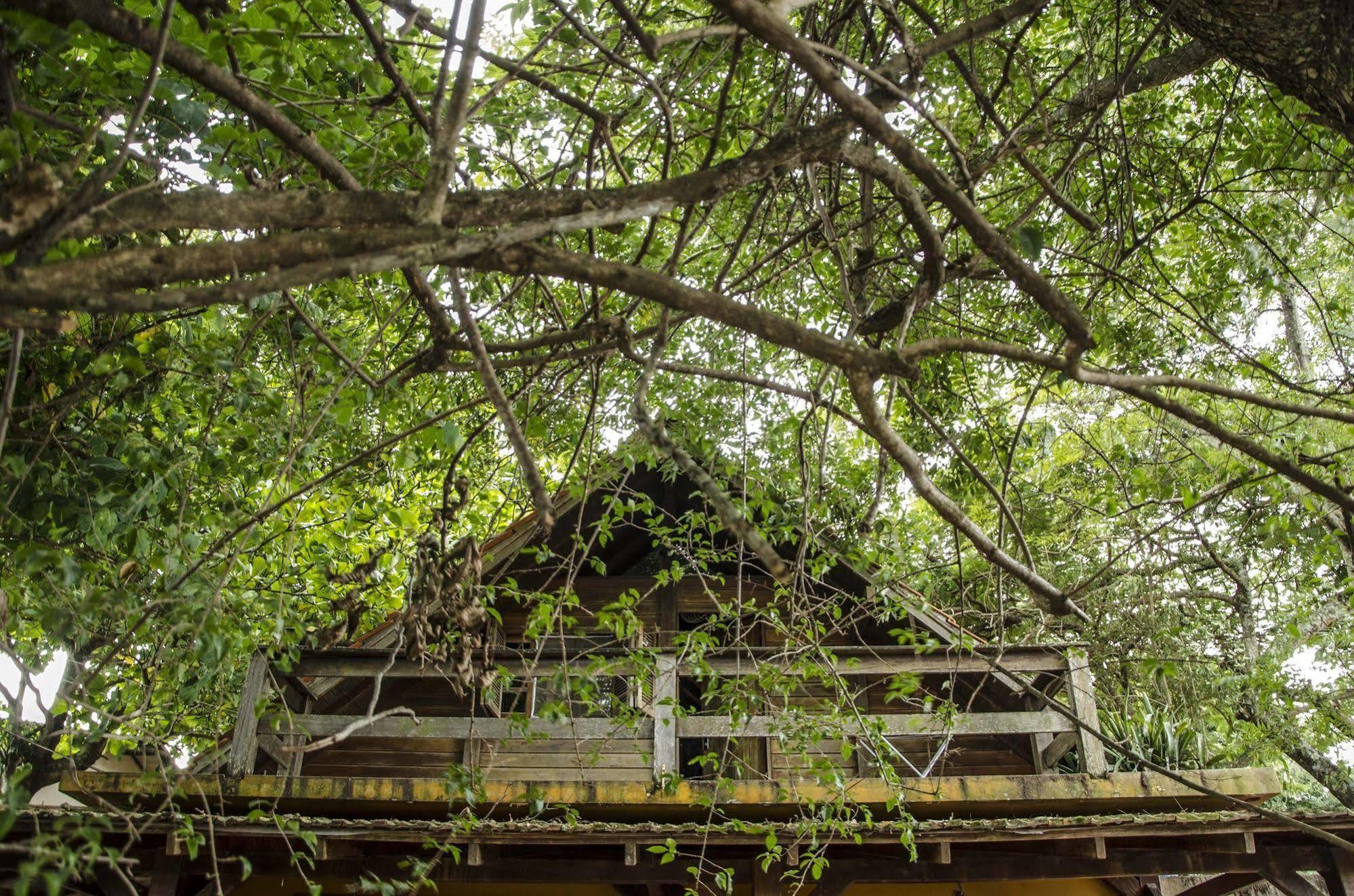 Florianópolis Sagui Hostel מראה חיצוני תמונה